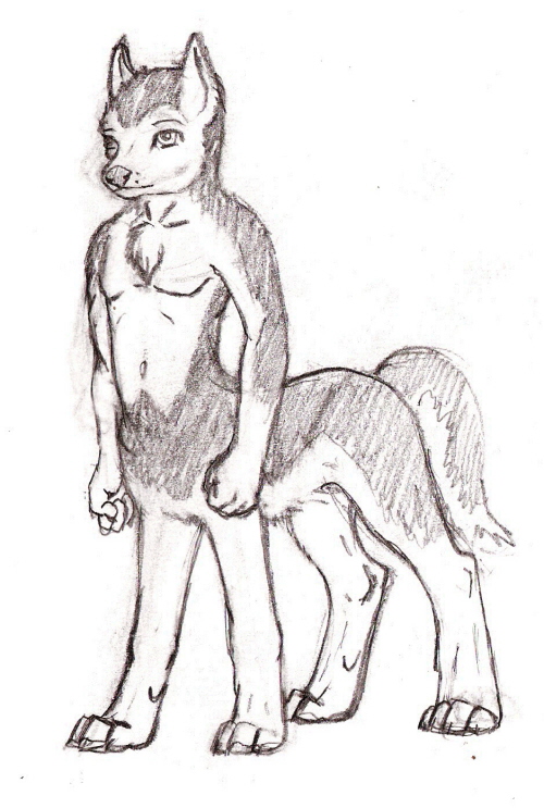 Husky by OttCorns