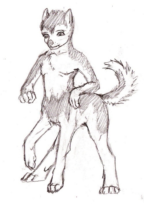 Husky by OttCorns