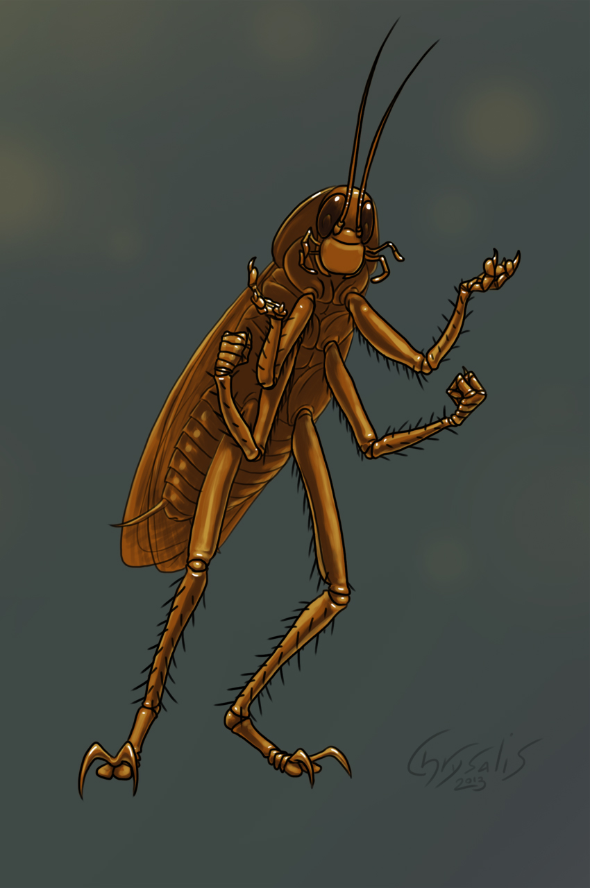 Dan Roach by Chrysalis