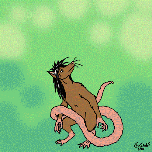 Animation: Transformation Marathon by Chrysalis