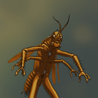 Sequence Image 4