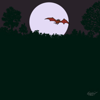 Sequence Image 5