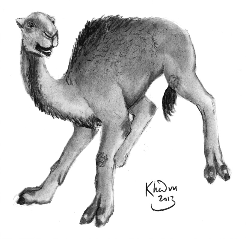 Ehh123 Camel Uplift! by Ciervo