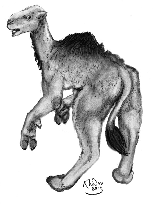 Ehh123 Camel Uplift! by Ciervo