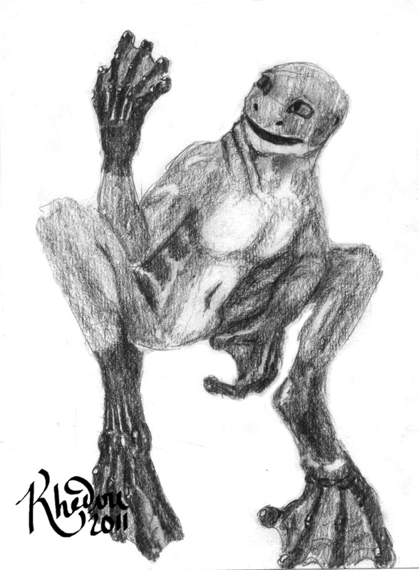 Frog TF by Ciervo