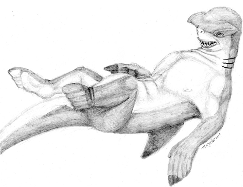 Hammerhead Transformation by Ciervo