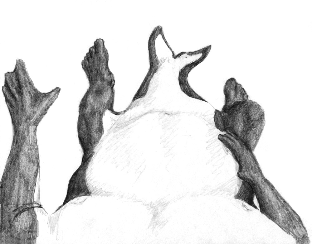 First-Person Orca TF by Ciervo