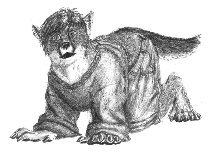Fox TF by Ciervo