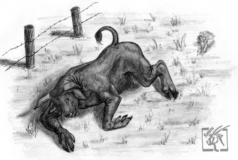 Bull To Minotaur TF by Ciervo