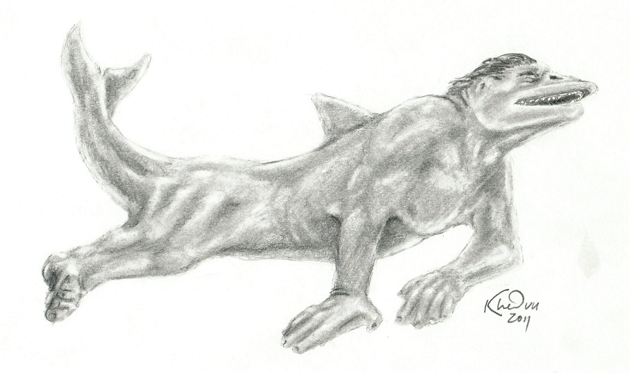Dolphin TF by Ciervo