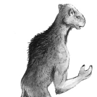 Sequence Image 4