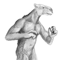 Sequence Image 5