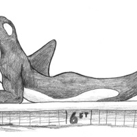 Sequence Image 2