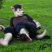 Sequence Image 2