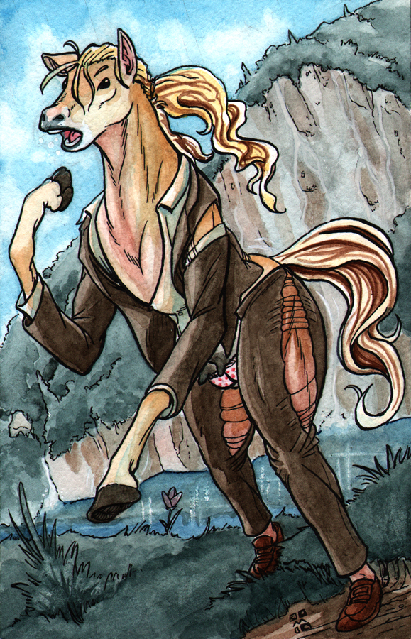 CMSN - Fjord Mare Man by Comic