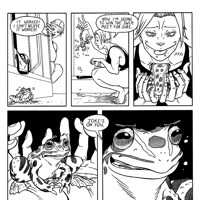Sequence Image 5