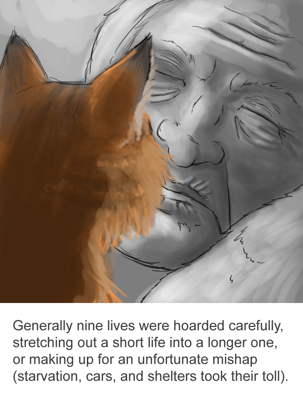 The Gift of 9 Lives by Corvidima
