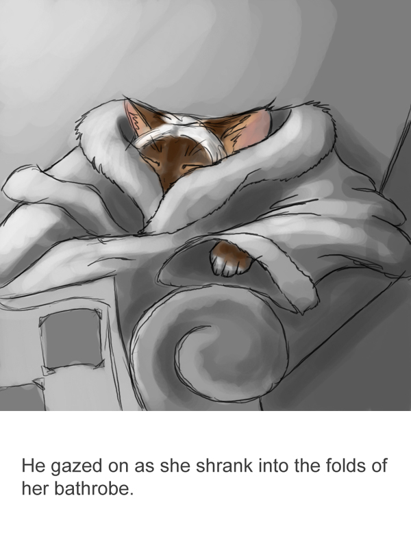 The Gift of 9 Lives by Corvidima