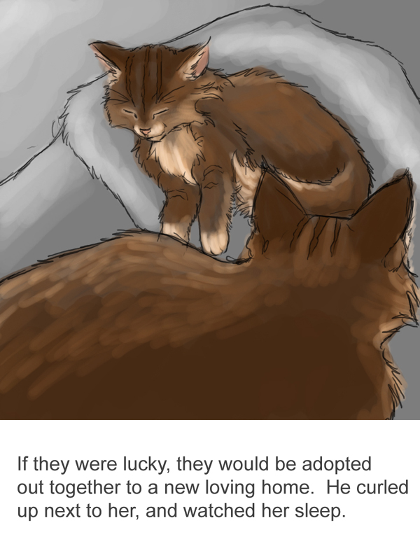 The Gift of 9 Lives by Corvidima