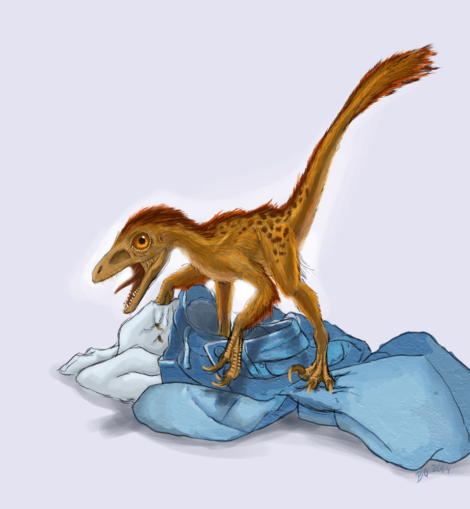 bambiraptor by Corvidima