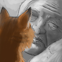 Sequence Image 3