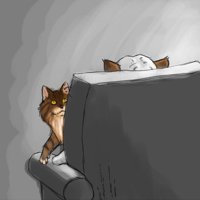 Sequence Image 6
