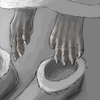 Sequence Image 7