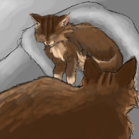 Sequence Image 9
