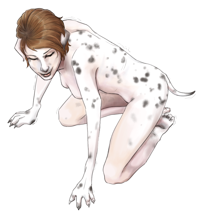 Dalmatian by Coyoteskin