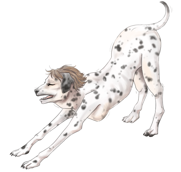Dalmatian by Coyoteskin