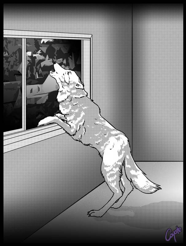 Timid by Coyoteskin