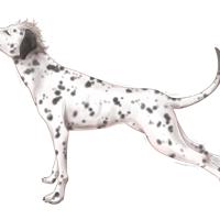 Sequence Image 3