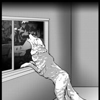 Sequence Image 4