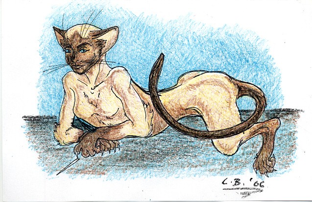 siamese by Currerbell