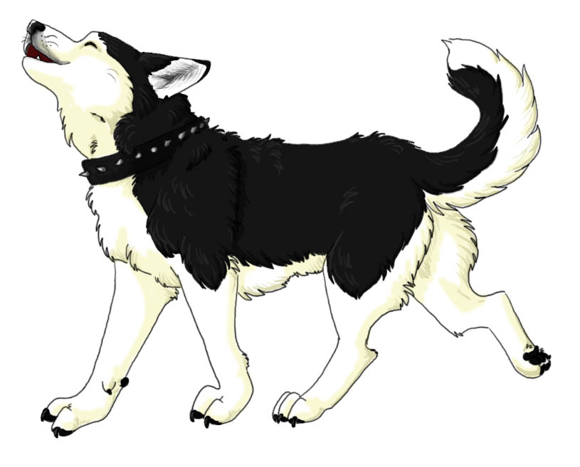 Transfur Husky by DakotaCat