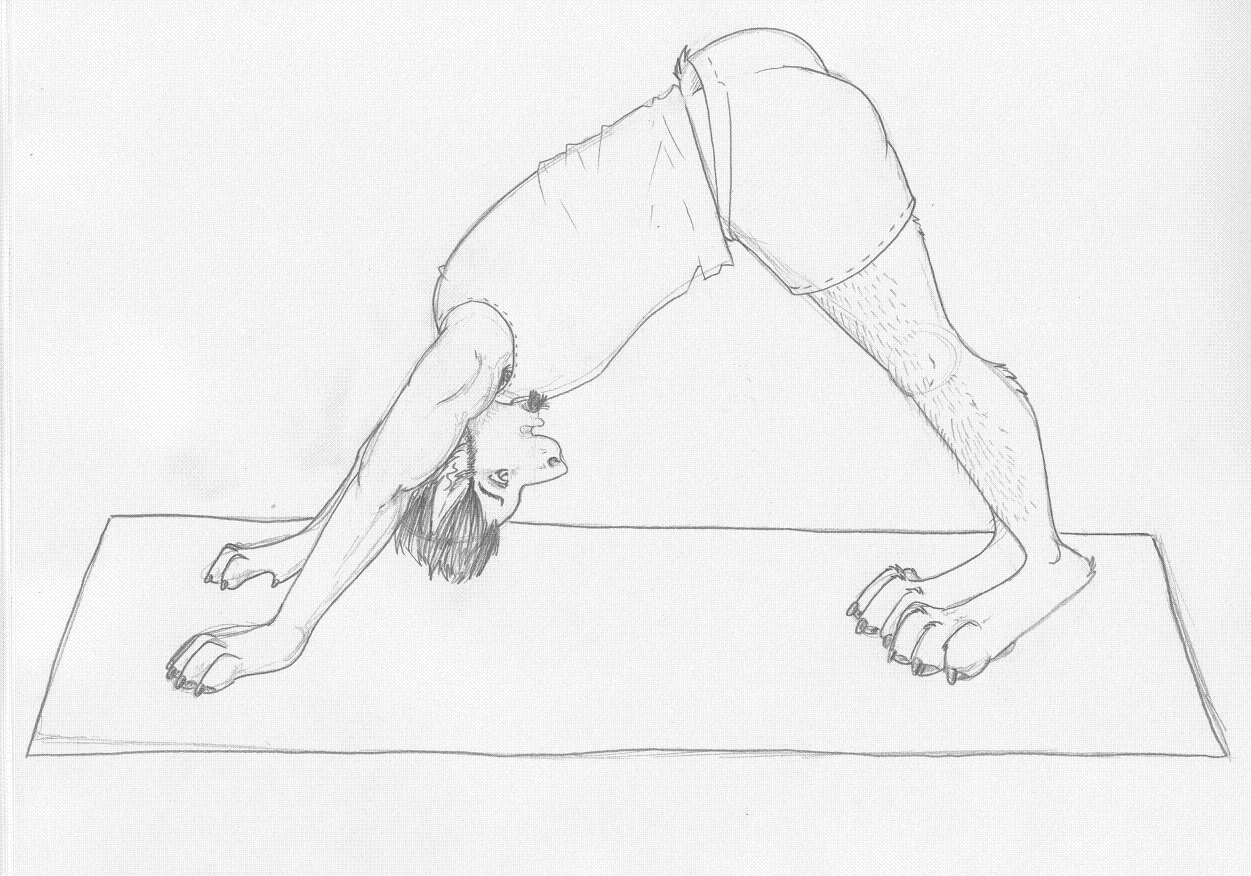 downward dog by DakotaCat