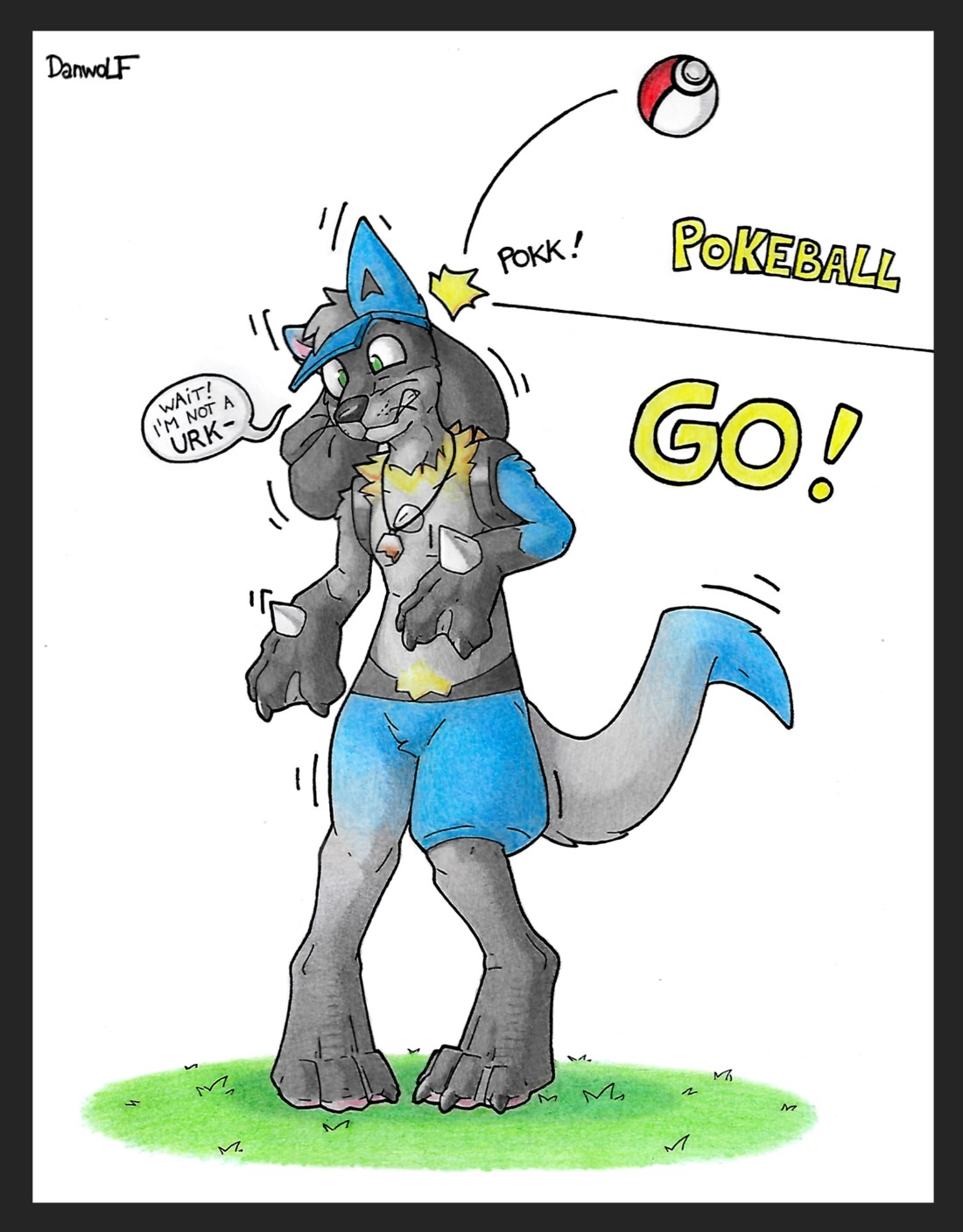 Pokeball GO ! by Danwolf