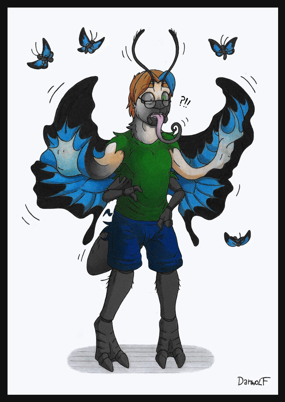 Wings of Beauty by Danwolf