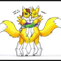 Sequence Image 3