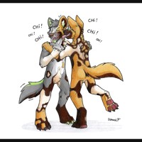 Wild dogs by Danwolf