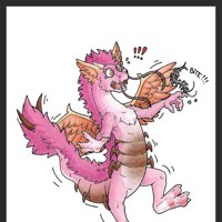 Sequence Image 2
