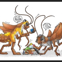 Sequence Image 3