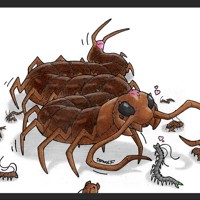 Sequence Image 4