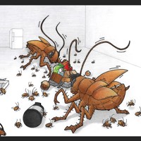 Sequence Image 4