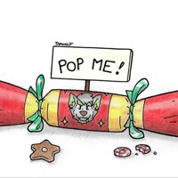 Christmas cracker by Danwolf