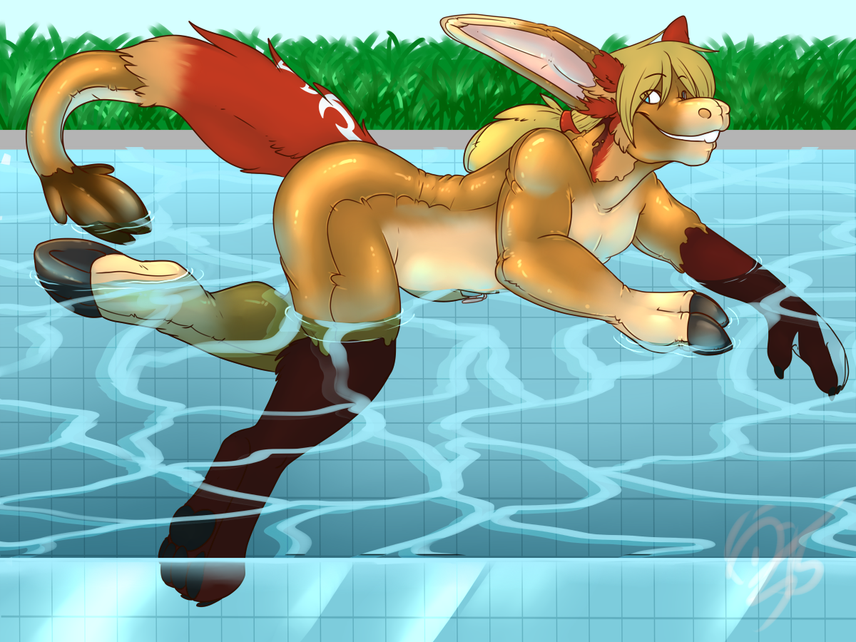 A Donk-a-day by Demyxia