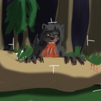Sequence Image 2