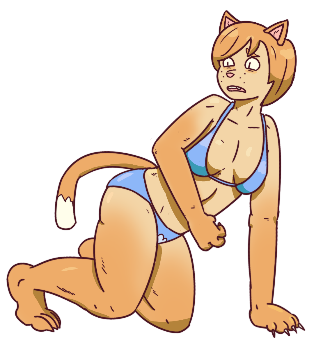 The Sand Witch's Familiar - Cat TF by Dondedun