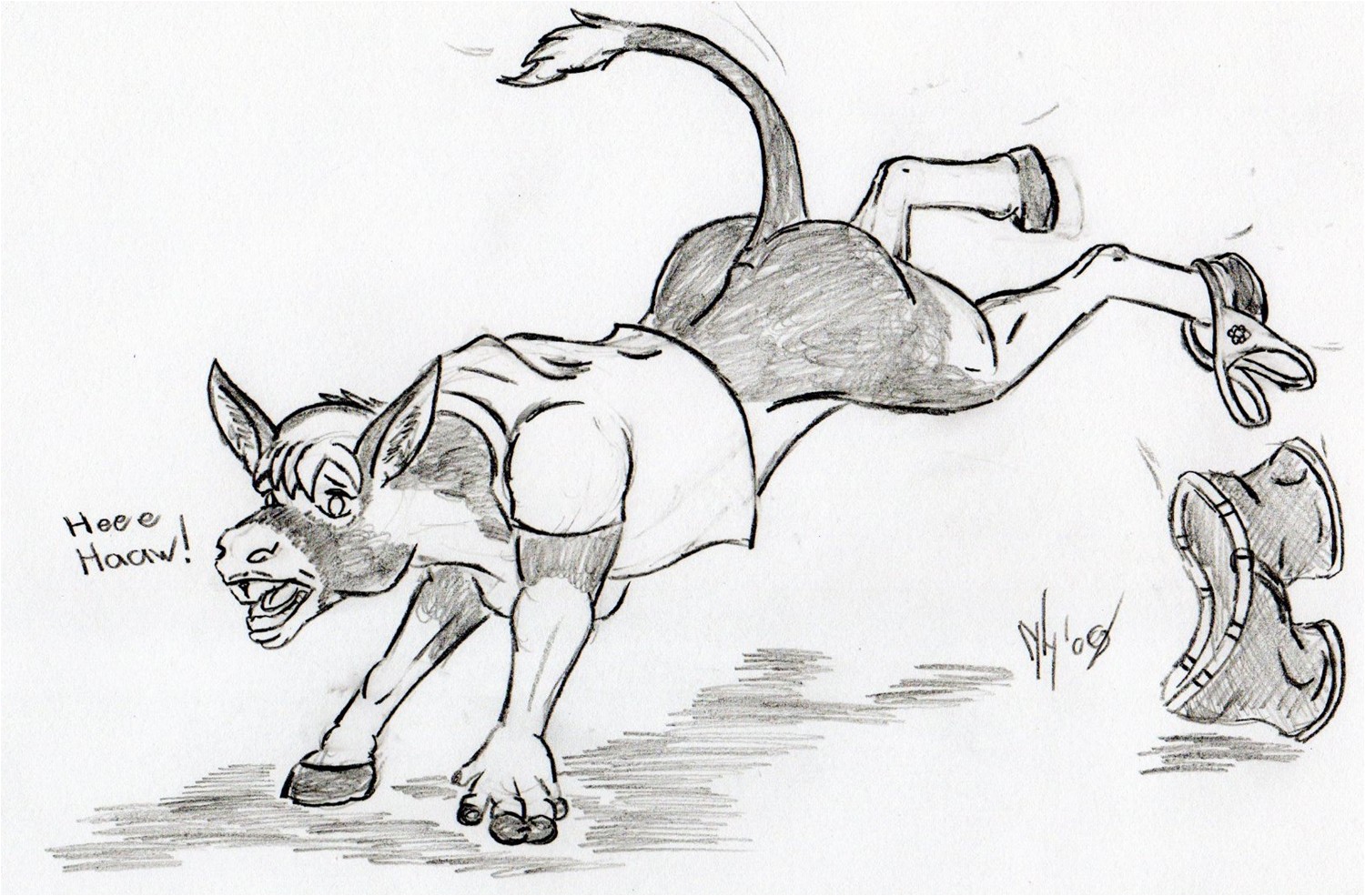 A Braying Fool by Dragon-Storm