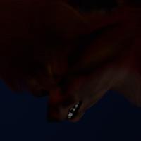 Sequence Image 20